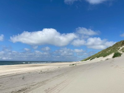 Holiday house Ferienhaus Duinzicht  Buitenplaats 115 mit Sauna - Environment photo 45