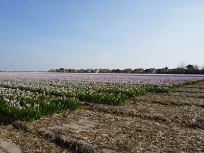 Holiday house Yperhof 8 - Environment photo 15