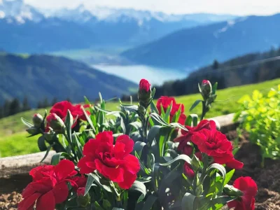 Apartment * 3-Raum Hütte für bis zu 5 Personen - Outdoor photo 4