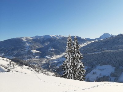 Apartment 5 Raum Hütte für bis zu 8 Personen - Outdoor photo 14