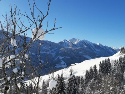 Apartment 5 Raum Hütte für bis zu 8 Personen - Outdoor photo 22