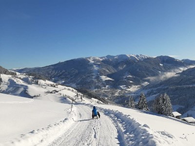 Apartment 5 Raum Hütte für bis zu 8 Personen - Outdoor photo 24
