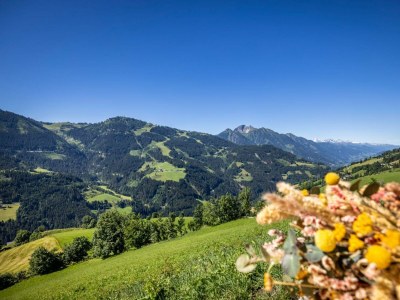 Apartment 5 Raum Hütte für bis zu 8 Personen - Outdoor photo 42