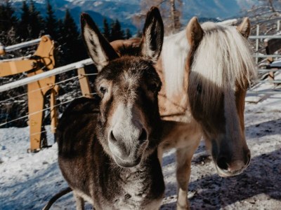 Apartment Ferienhaus für bis zu 6 Personen - Outdoor photo 9