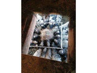 Apartment Ferienhaus für bis zu 6 Personen - Outdoor photo 22