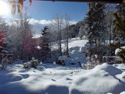 Apartment * 3-Raum-Chalet für 2 Personen - Outdoor photo 3