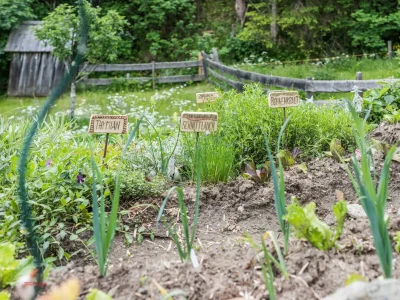 Apartment * 3-Raum-Chalet für 2 Personen - Outdoor photo 5