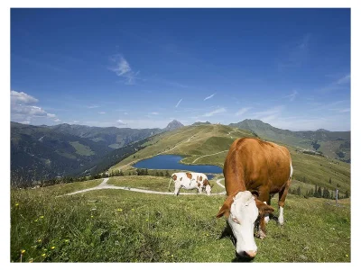 Apartment Appartement/Fewo, 3 Räume - Outdoor photo 5