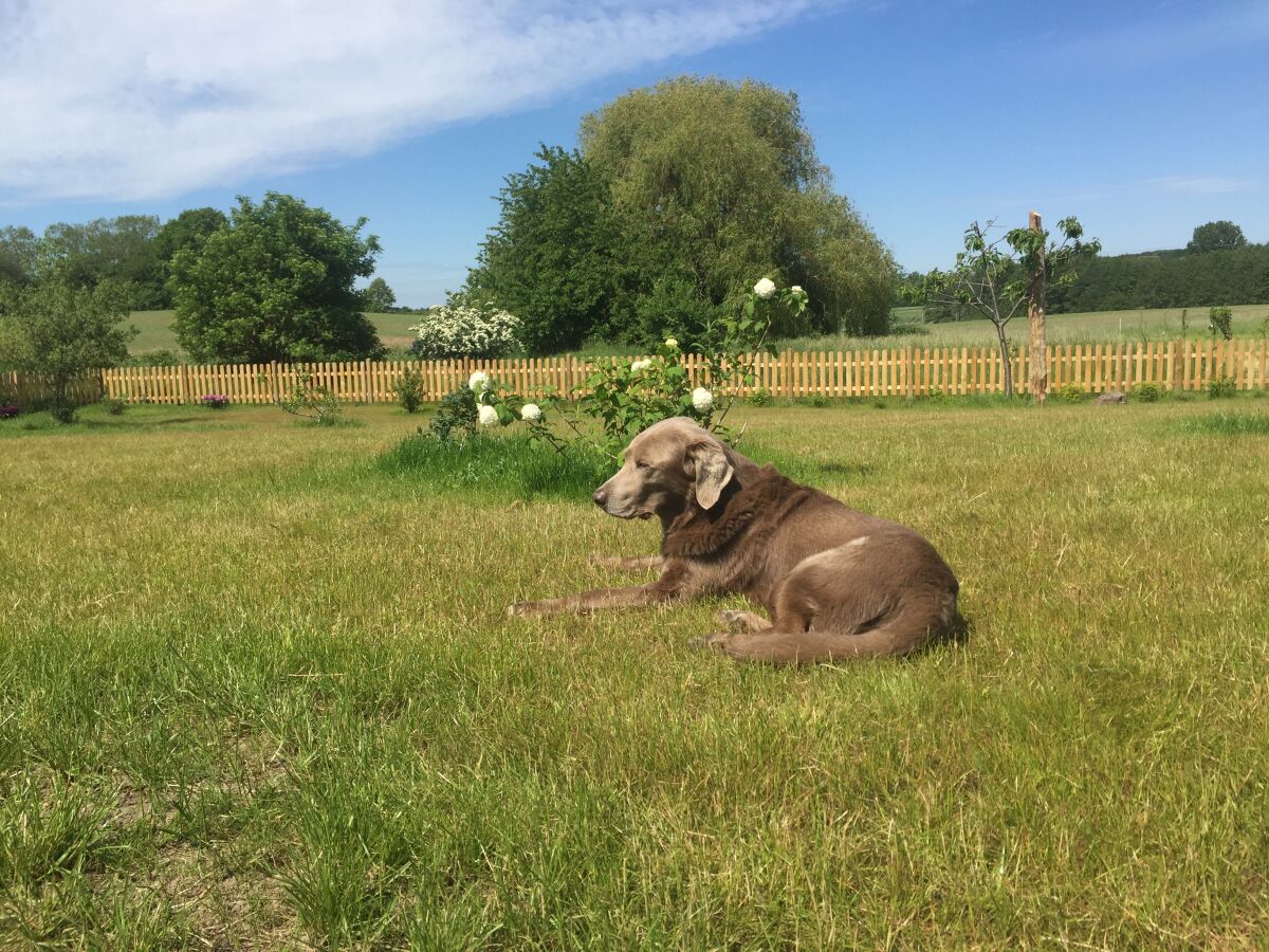 Holiday house No title - Outdoor photo 4