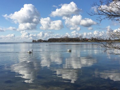 Holiday house No title - Environment photo 37