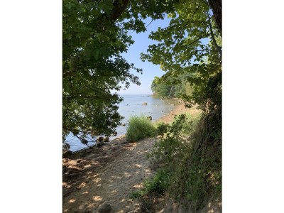 Holiday house No title - Environment photo 39