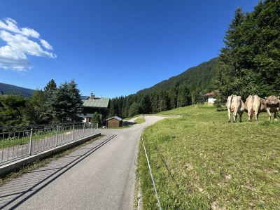Apartment Apartment/2 Schlafräume/Dusche, WC Kuhgehrenblick - Outdoor photo 7