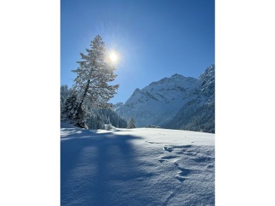 Apartment Apartment/2 Schlafräume/Dusche, WC Kuhgehrenblick - Outdoor photo 20