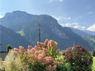Holiday apartment Alpine Paradise at the AlpinschlÃ¶ssl - Outdoor photo 11