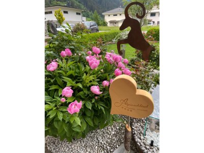 Holiday apartment Alpine Paradise at the AlpinschlÃ¶ssl - Outdoor photo 15