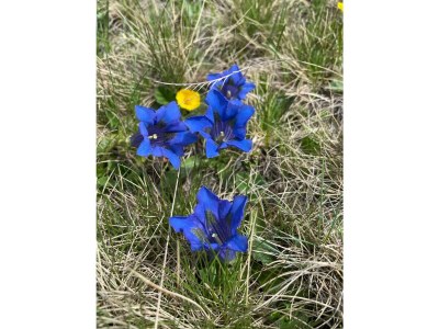Alpine hut ZirbenhÃ¼tte - Outdoor photo 11