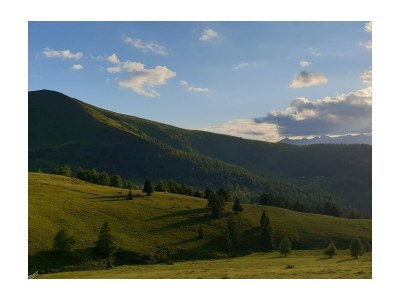 Alpine hut ZirbenhÃ¼tte - Environment photo 26