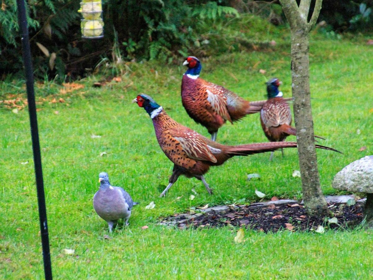 Holiday house 4 Personen Ferienhaus in Hadsund - Outdoor photo 2