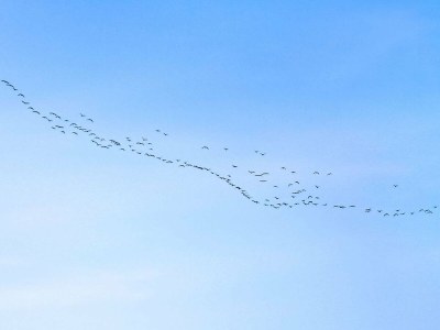 Holiday house 4 Personen Ferienhaus in Hadsund - Outdoor photo 9
