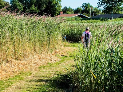 Holiday house 4 Personen Ferienhaus in Hadsund - Outdoor photo 23