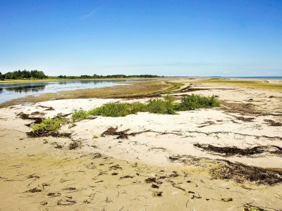 Holiday house 4 Personen Ferienhaus in Hadsund - Outdoor photo 29