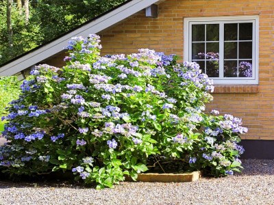 Holiday house 4 Personen Ferienhaus in Hadsund - Outdoor photo 36