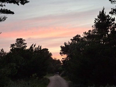 Holiday house Luxury Retreat in Vejers - By Traum Ferienwohnungen - Outdoor photo 45