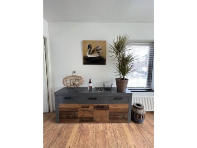 Apartment Studio 't Zwanennest - Features photo 11