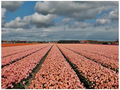 Apartment Studio 't Zwanennest - Environment photo 21