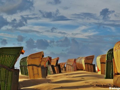 Apartment Studio 't Zwanennest - Environment photo 25