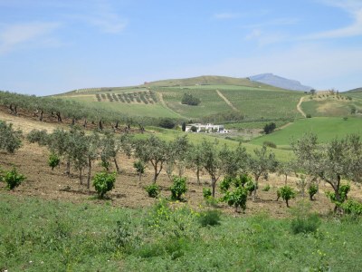 Cottage Baglio Pozzo Rocca - Outdoor photo 11