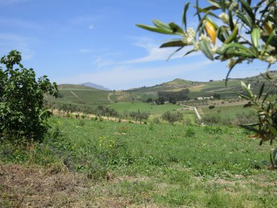 Cottage Baglio Pozzo Rocca - Outdoor photo 12