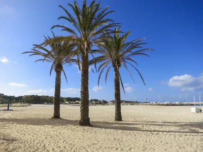 Cottage Baglio Pozzo Rocca - Environment photo 38