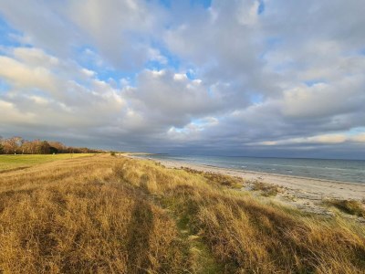 Holiday house 14 person holiday home in Væggerløse-By Traum - Outdoor photo 28