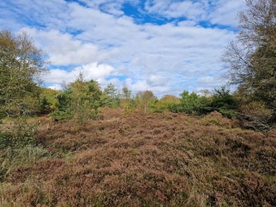 Holiday house 8 person holiday home in Hadsund-By Traum - Outdoor photo 25
