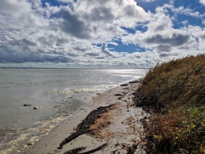 Holiday house 8 person holiday home in Hadsund-By Traum - Outdoor photo 31