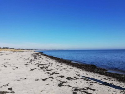 Holiday house 10 person holiday home in Væggerløse-By Traum - Outdoor photo 17