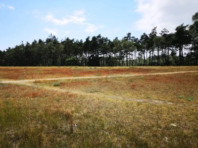 Holiday house 10 person holiday home in Væggerløse-By Traum - Outdoor photo 31