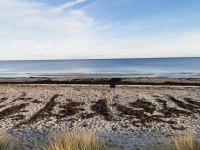 Holiday house 10 person holiday home in Væggerløse-By Traum - Outdoor photo 34