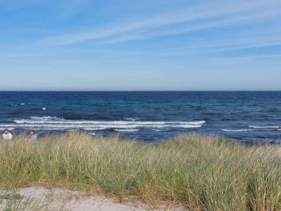 Holiday house 10 person holiday home in Væggerløse-By Traum - Outdoor photo 36