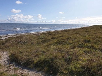 Holiday house 10 person holiday home in Væggerløse-By Traum - Outdoor photo 43