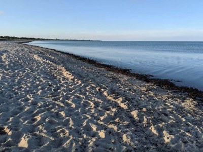 Holiday house 10 person holiday home in Væggerløse-By Traum - Outdoor photo 52