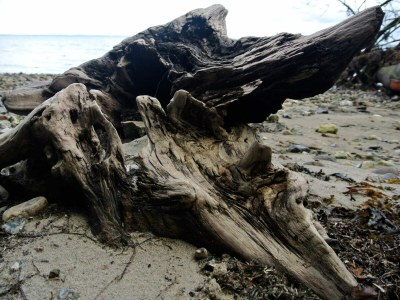 Holiday house Luxury Retreat in Hejlsminde - By Traum - Outdoor photo 19