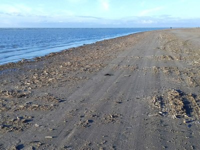 Holiday house 12 Personen Ferienhaus in Fanø-By Traum - Outdoor photo 16