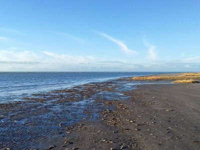Holiday house 12 Personen Ferienhaus in Fanø-By Traum - Outdoor photo 28