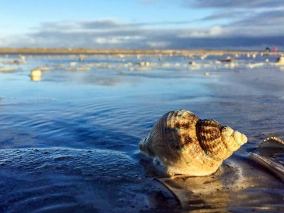 Holiday house 12 Personen Ferienhaus in Fanø-By Traum - Outdoor photo 29