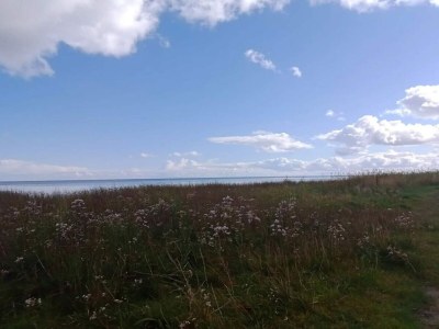 Holiday house 6 person holiday home in Hadsund-By Traum - Outdoor photo 35