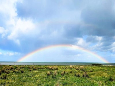 Holiday house 6 person holiday home in Hadsund-By Traum - Outdoor photo 39