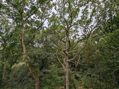 Holiday house 6 person holiday home in Hadsund-By Traum - Outdoor photo 12