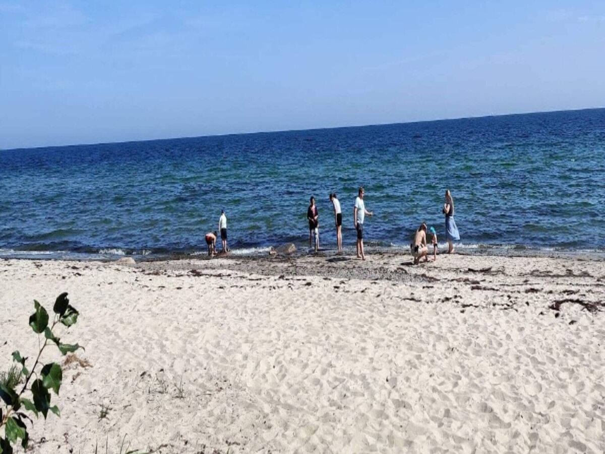 Holiday house 5 Personen Ferienhaus in Væggerløse-By Traum - Outdoor photo 2